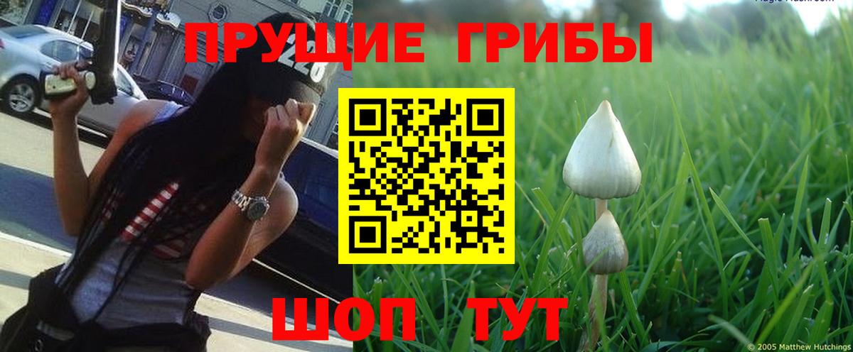 Галлюциногенные грибы мицелий  купить наркотики цена  Вход с VPN  Кирово-Чепецк  Галлюциногенные грибы Cubensis 